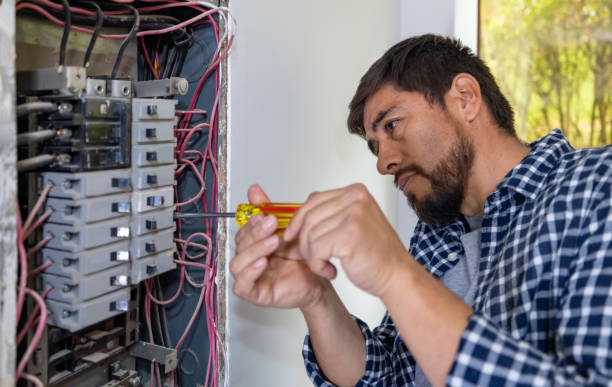 Best 24-Hour Electrician  in Millbury, OH